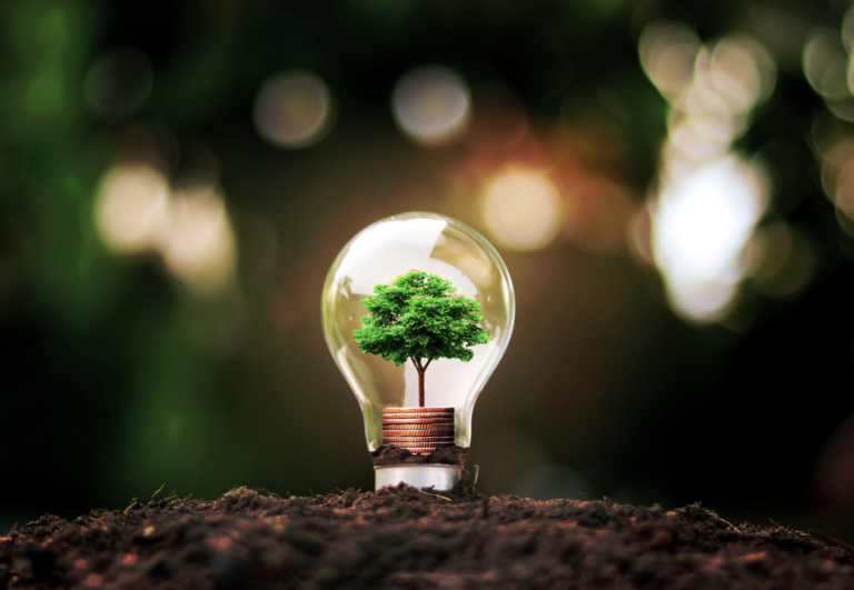 Green light to the new corporate sustainability reporting directive (CSRD)