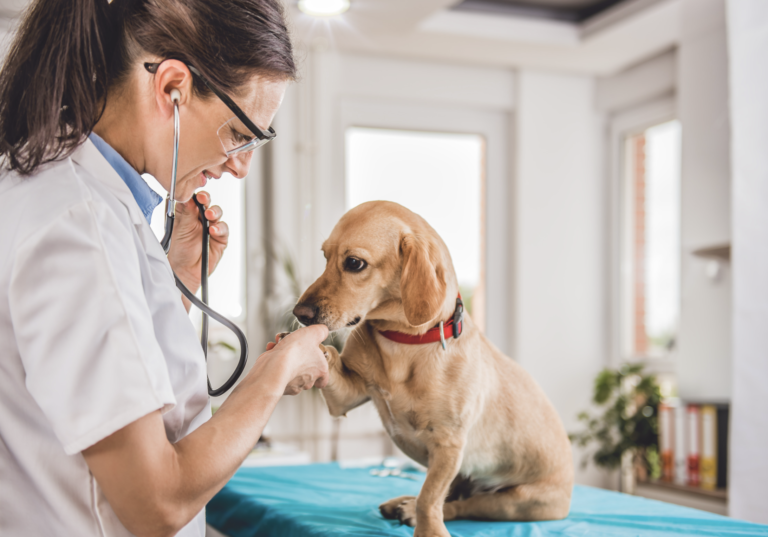 Towards an harmonised approach of the assessment of exposure to residues of veterinary medicines