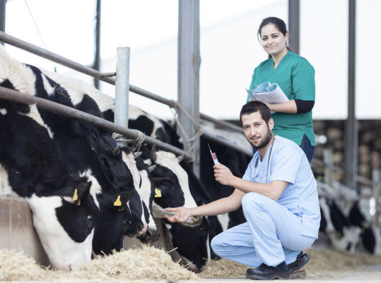 New mutual recognition agreements: EU-US for veterinary medicines and the MHRA international initiative