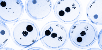 How to favour access to new antimicrobials