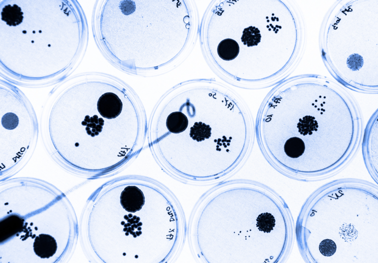 How to favour access to new antimicrobials