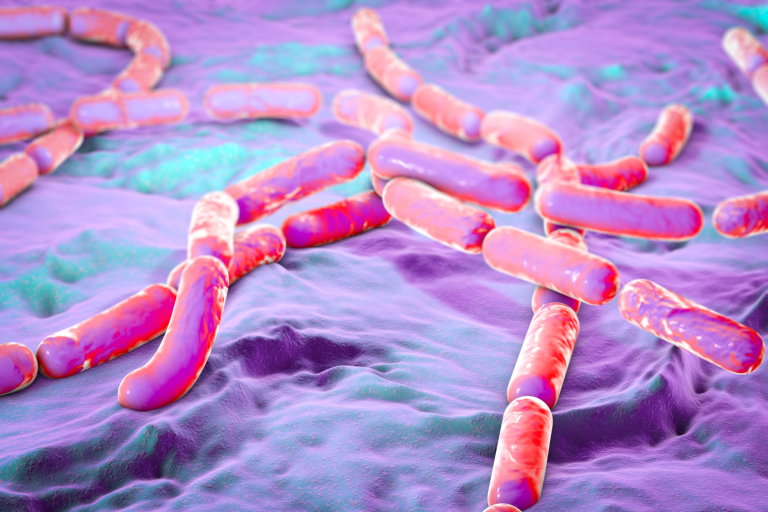 <strong>EU Commission, how to design a monitoring framework of the EU One Health Action Plans against AMR</strong>