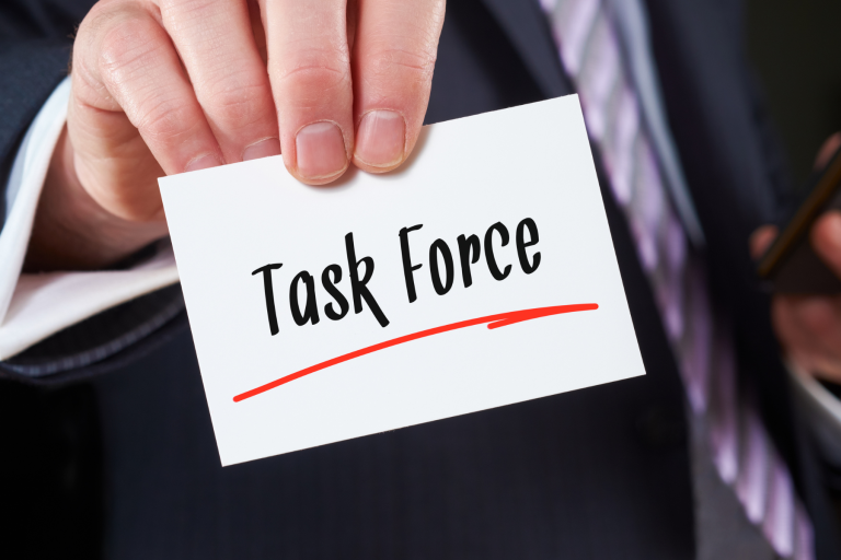 The composition of the EMA’s Emergency Task Force for preparedness