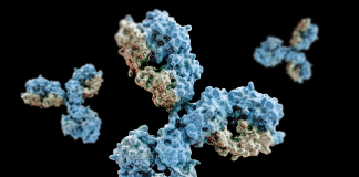 Antibody-Drug Conjugates and High Containment Aseptic Isolators