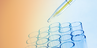 The new implementing regulation on the rules for joint clinical assessments