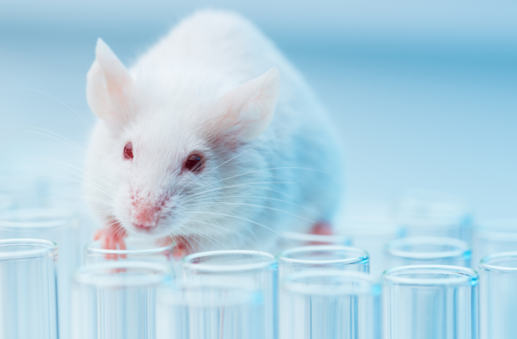 Global regulators call for broader adoption of alternatives to animal testing
