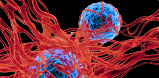 Cancer medicines: faster approvals, but access remains uneven across Europe