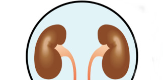 Malattie renali croniche tra le prime cause di morte in Italia