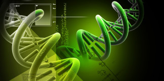 Studi da Nobel sui meccanismi di riparazione del DNA