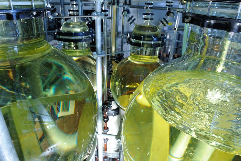 Oli essenziali certificati GMP. L’essenza di un prodotto di successo