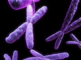 Target terapeutico per l’atrofia muscolare spinale