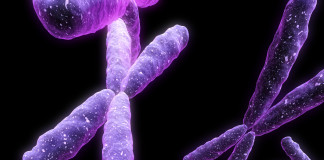 Target terapeutico per l’atrofia muscolare spinale