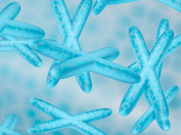 Sperimentazione su embrioni umani in UK