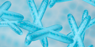 Sperimentazione su embrioni umani in UK