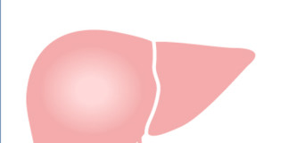 Epatite C in Italia. Il punto sulle future strategie terapeutiche