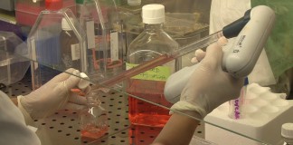 Trasferimento Tecnologico, sfide e opportunità per il Pharmabiotech "Il trasferimento tecnologico è l'anello mancante tra Accademia e Impresa per trasferire tempestivamente l’innovazione tecnologica nella pratica clinica grazie a strutture specializzate"