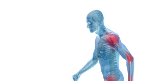 Cartilagine ingegnerizzata in vitro per l’osteoartrite