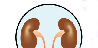 Terapia dietetica per ritardare la dialisi