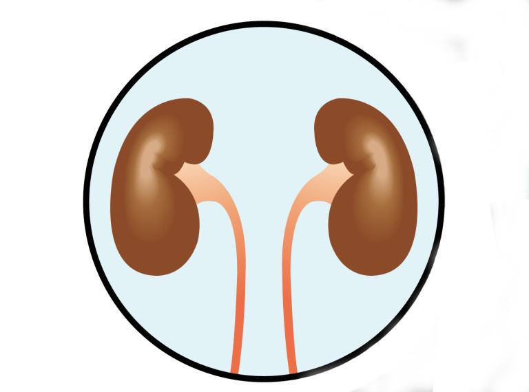Terapia dietetica per ritardare la dialisi