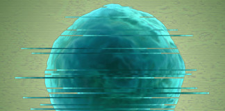 Una banca dati per le immagini grezze da microscopia elettronica