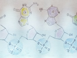 Farmaci antivirali ad ampio spettro da inibitori della RNA elicasi DDX3