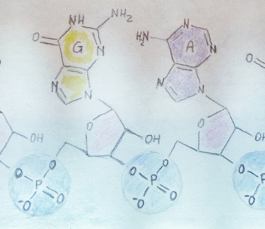 Farmaci antivirali ad ampio spettro da inibitori della RNA elicasi DDX3