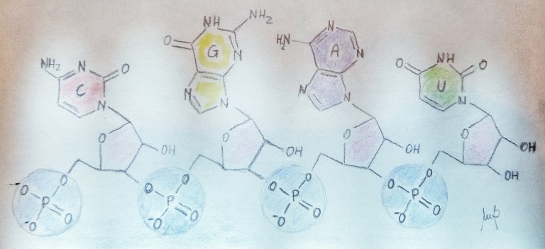 Farmaci antivirali ad ampio spettro da inibitori della RNA elicasi DDX3