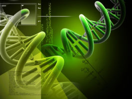 Linea guida FDA sui dispositivi diagnostici di next-generation sequencing