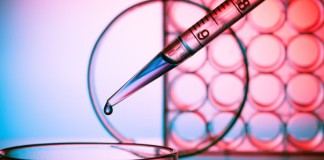 Nuovi progressi nella lotta contro la resistenza agli antibiotici