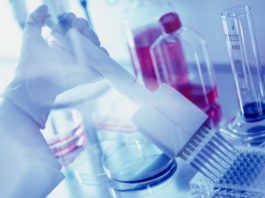 Prodotti e servizi di qualità per il pharma a un prezzo competitivo