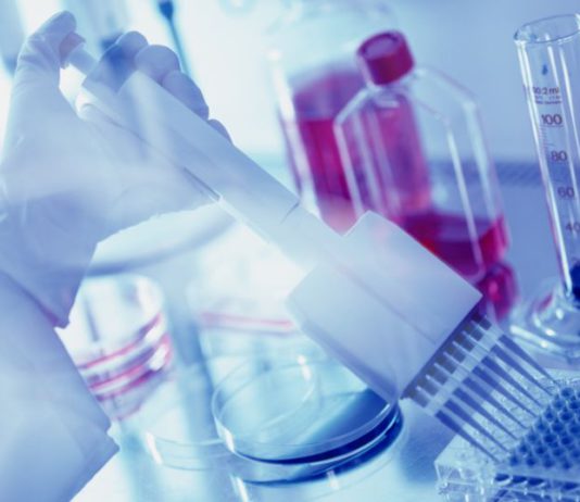 Prodotti e servizi di qualità per il pharma a un prezzo competitivo