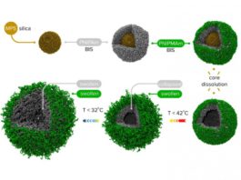 Nanocapsule per drug delivery controllato dalla temperatura