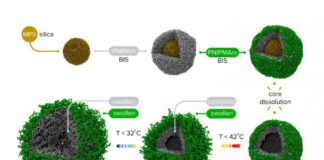Nanocapsule per drug delivery controllato dalla temperatura