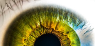 Una nuova arma contro la retinopatia diabetica