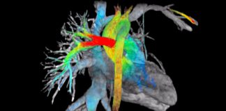 Il cuore a 7 dimensioni