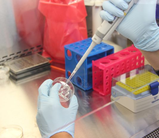 Ricerca open access sulla malaria: pubblicati i risultati