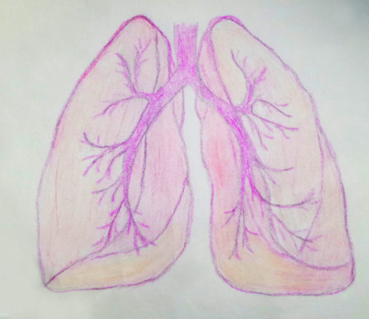 Studio sull’effetto di nintedanib sui biomarcatori dell’IPF