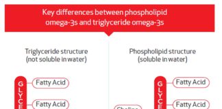 Olio di Krill a elevata concentrazione di fosfolipidi e omega 3