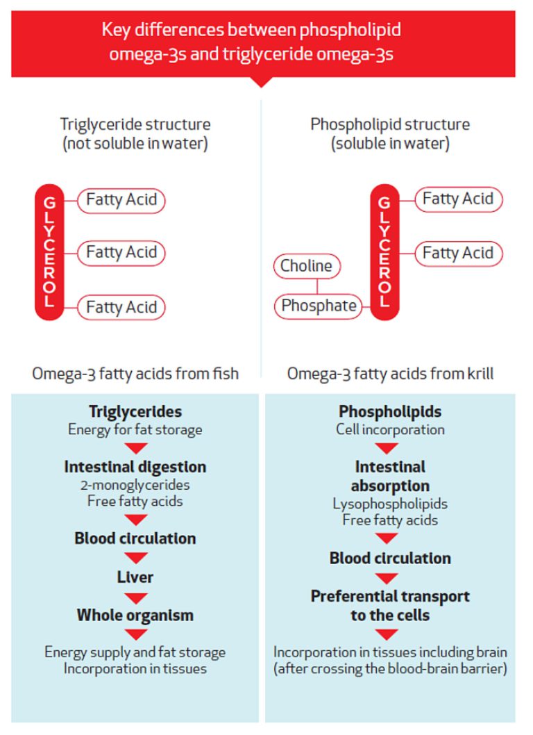 Olio di Krill a elevata concentrazione di fosfolipidi e omega 3