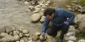 Integroni per l’analisi dell’inquinamento da antibiotici