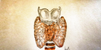 Formulazioni alternative di tiroxina per l’ipotiroidismo