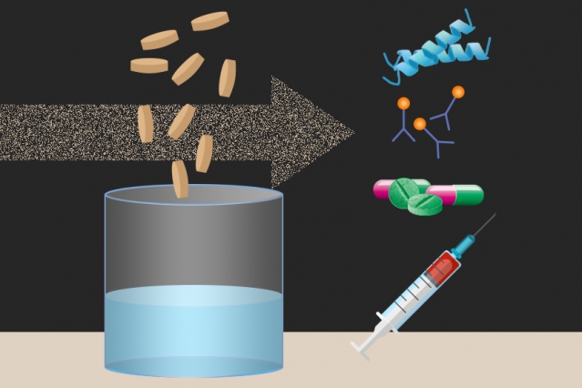 I ricercatori del MIT hanno messo a punto una nuova piattaforma di biomanufacturing portatile e on-demand (Image: Christine Daniloff/MIT. Antimicrobial peptide illustration by Ymahn/Wikimedia Commons)