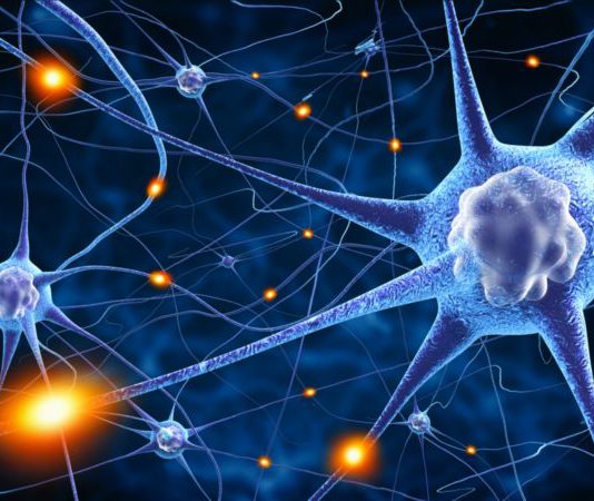 Ocrelizumab per la sclerosi multipla