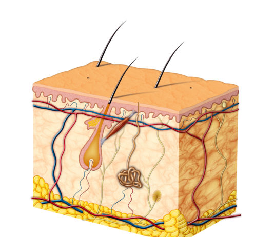 Medicazione solida idrosolubile per le ulcere cutanee
