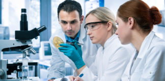 Inibitori di Guab2 per la tubercolosi
