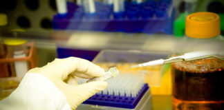 Nintedanib per il tumore del colon-retto metastatico