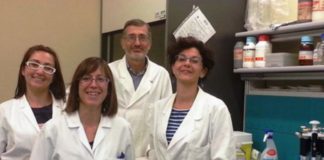 Un medicinale omeopatico agisce sull’espressione genica nelle cellule neuronali