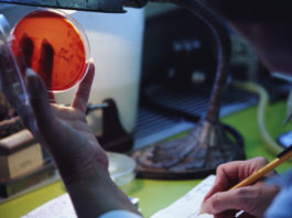 Ceftolozano/tazobactam per infezioni da batteri multiresistenti