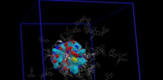 Nuovo software addon di dinamica molecolare per il drug discovery virtuale