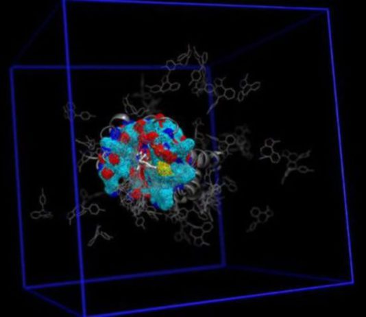 Nuovo software addon di dinamica molecolare per il drug discovery virtuale